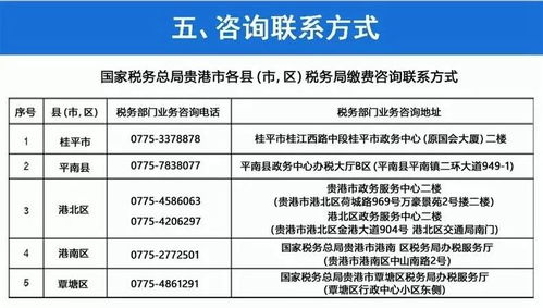 春节不打烊 基本养老保险与医疗保险缴费服务陪伴您安心过大年——项目策划与公关服务全攻略